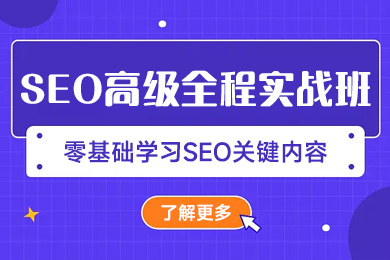 SEO高级全程实战班