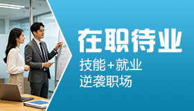 纯技术学IT