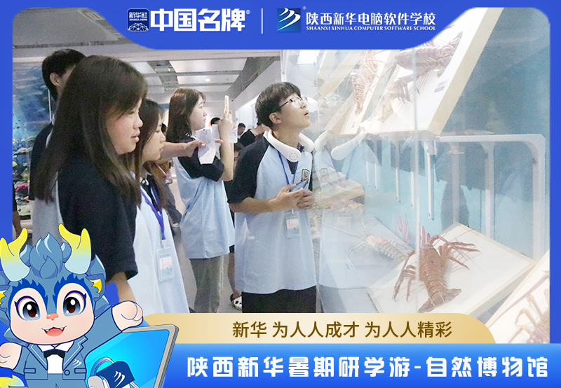 微信图片_20240809170841.png