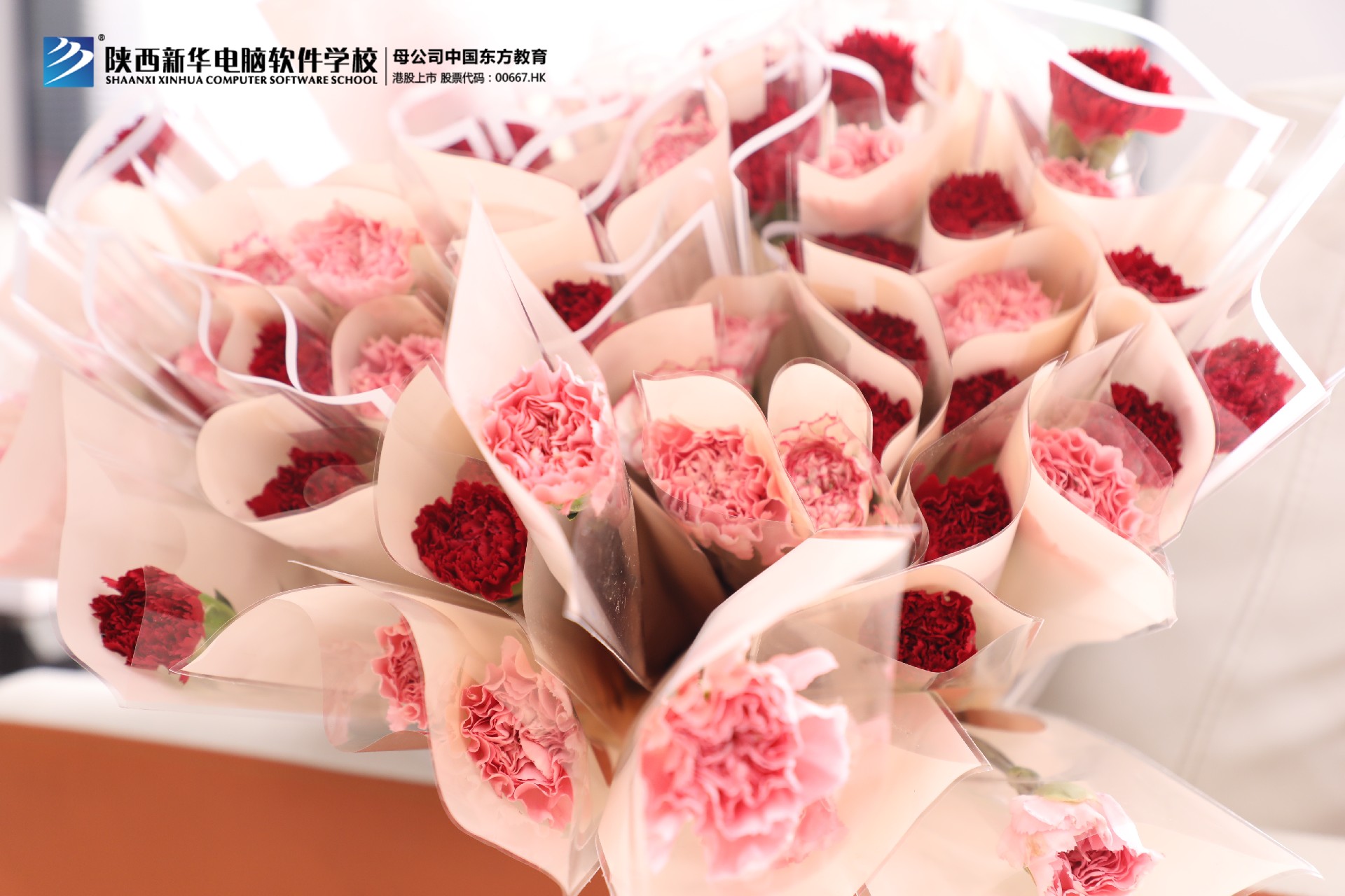 微信图片_20240921110719.jpg