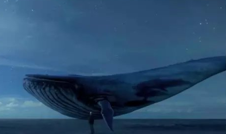陕西新华对“蓝鲸死亡游戏”说不！