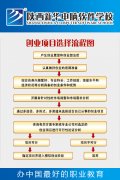 陕西新华学子创业流程