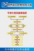 陕西新华学子就业流程