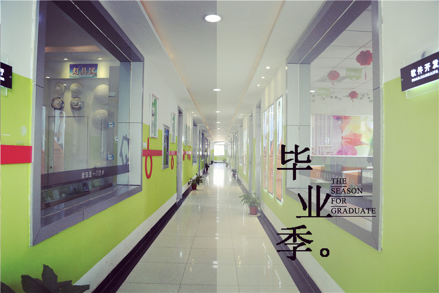 毕业季：未来篇