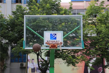 陕西新华新生趣味运动会火热开赛