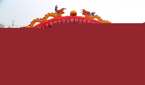 陕西新华招聘会现求职潮 IT学子受争抢