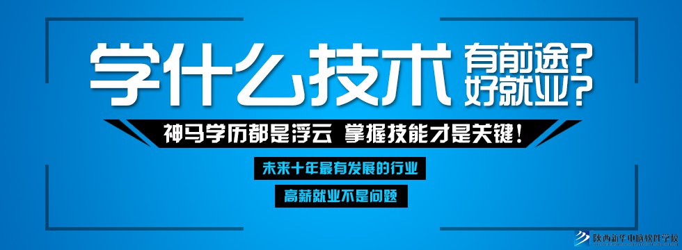 学什么技术好