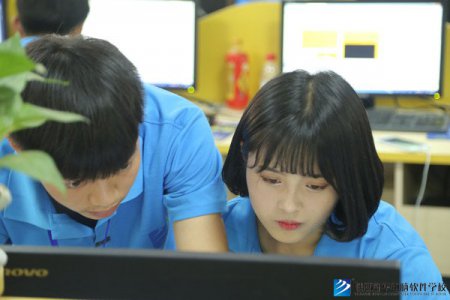 听说这个专业是IT的“香饽饽”