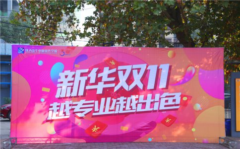 新华双十一，越专业越出色