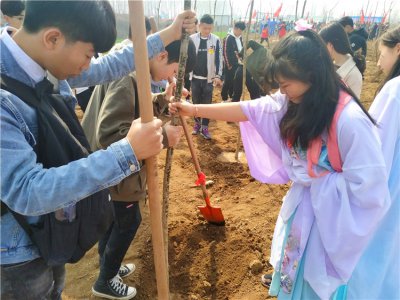 植树节|他们，在秦岭脚下植下一棵爱心树……