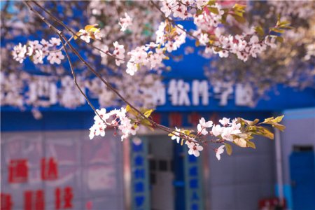 不负学技好时光， 莘莘学子盼归来！薪火助学千元开学大礼包大派送