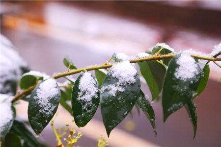一场初雪 惊艳了新华的时光亦开启了他的逐梦之旅
